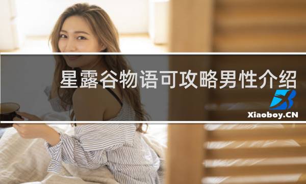 星露谷物语可攻略男性介绍