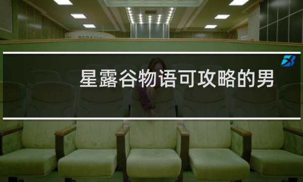 星露谷物语可攻略的男