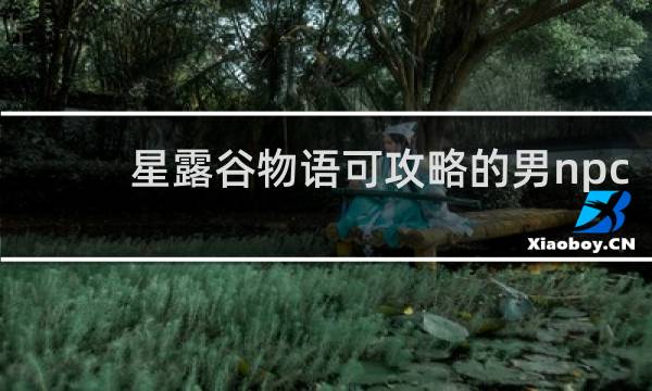 星露谷物语可攻略的男npc
