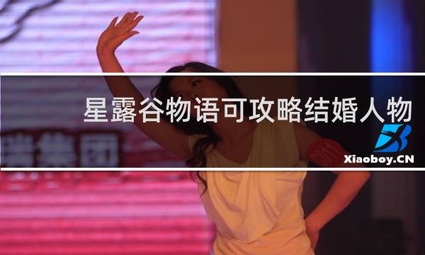 星露谷物语可攻略结婚人物