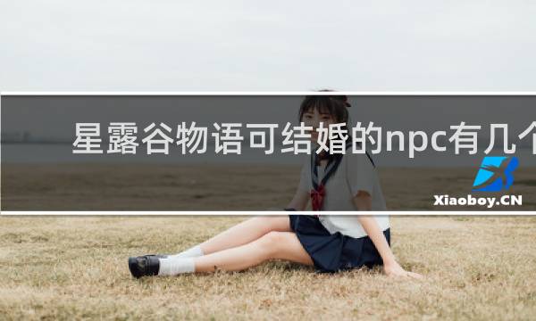 星露谷物语可结婚的npc有几个