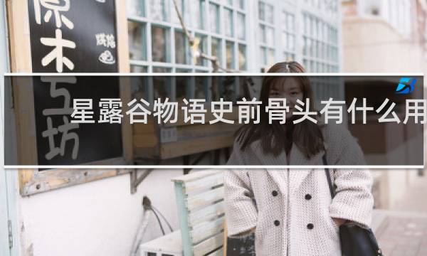 星露谷物语史前骨头有什么用