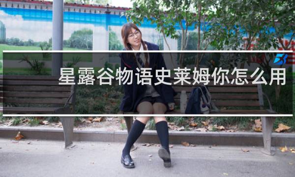 星露谷物语史莱姆你怎么用