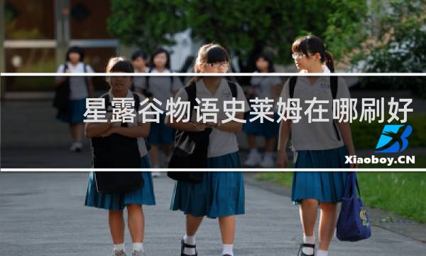 星露谷物语史莱姆在哪刷好