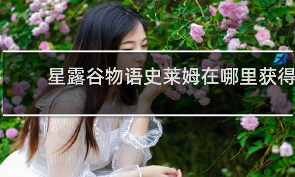 星露谷物语史莱姆在哪里获得