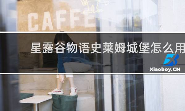 星露谷物语史莱姆城堡怎么用