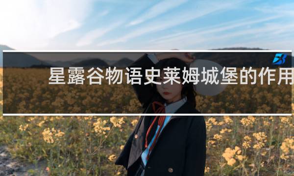 星露谷物语史莱姆城堡的作用