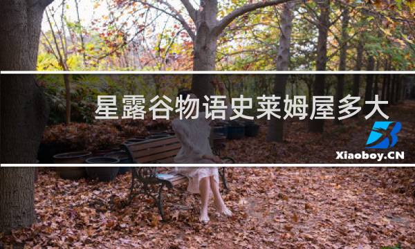 星露谷物语史莱姆屋多大