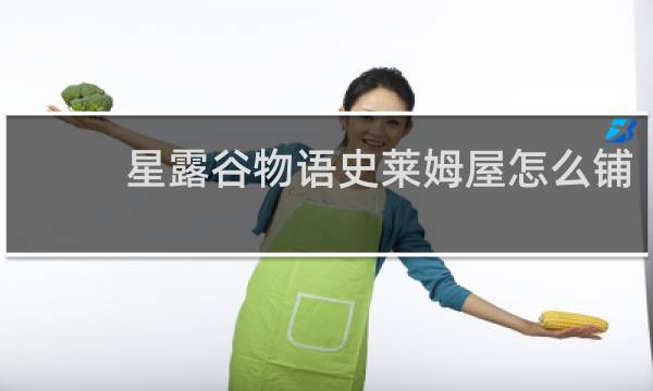 星露谷物语史莱姆屋怎么铺