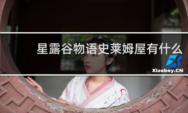 星露谷物语史莱姆屋有什么