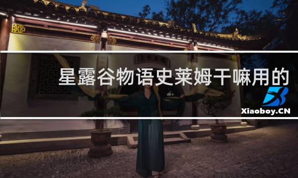 星露谷物语史莱姆干嘛用的