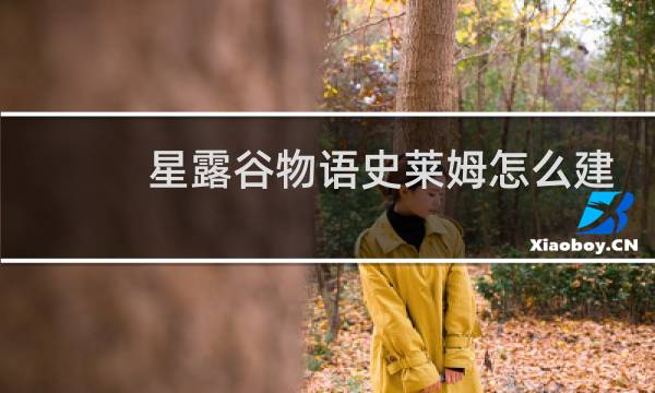 星露谷物语史莱姆怎么建