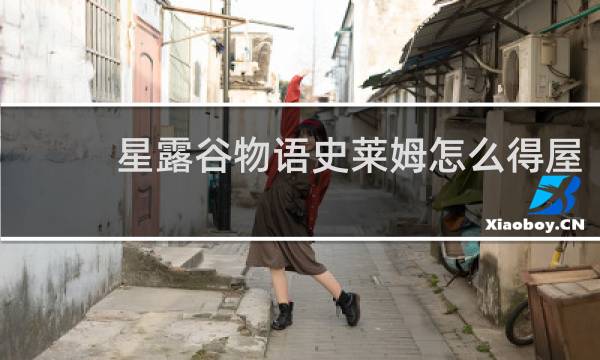 星露谷物语史莱姆怎么得屋