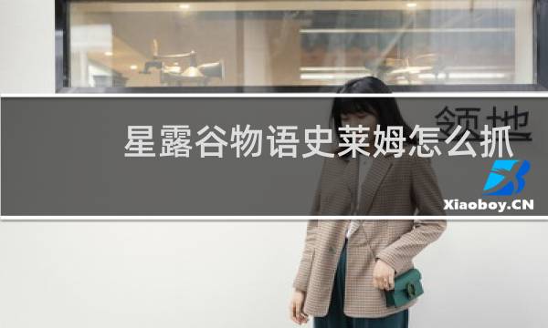 星露谷物语史莱姆怎么抓