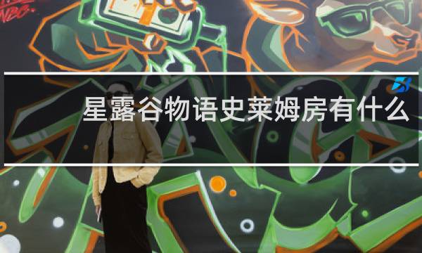 星露谷物语史莱姆房有什么