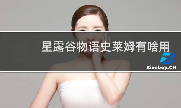 星露谷物语史莱姆有啥用