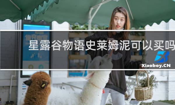 星露谷物语史莱姆泥可以买吗
