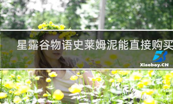 星露谷物语史莱姆泥能直接购买吗