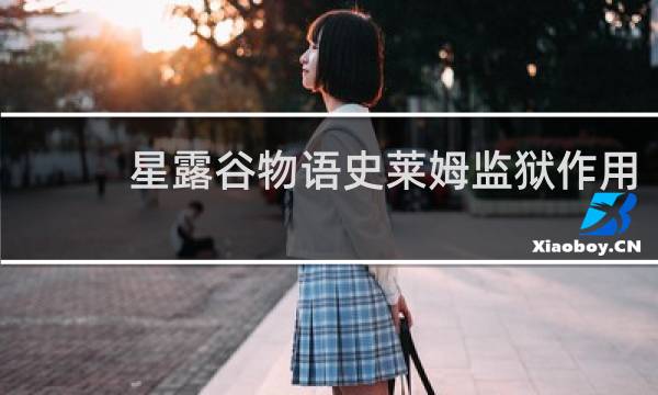 星露谷物语史莱姆监狱作用