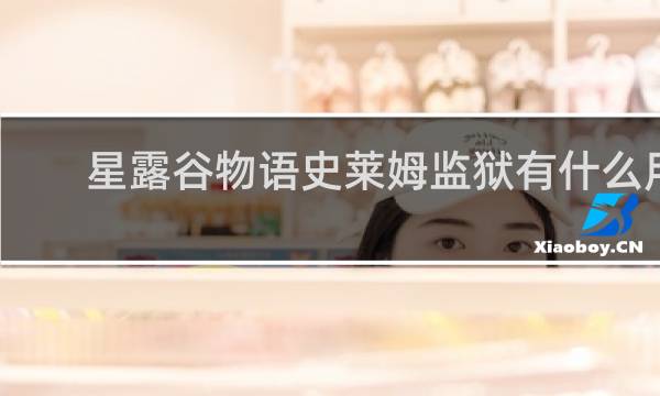 星露谷物语史莱姆监狱有什么用