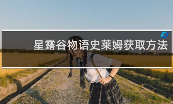 星露谷物语史莱姆获取方法