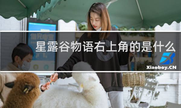 星露谷物语右上角的是什么