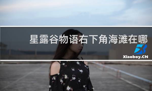 星露谷物语右下角海滩在哪