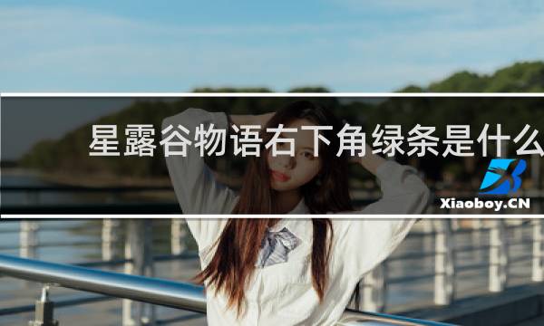 星露谷物语右下角绿条是什么
