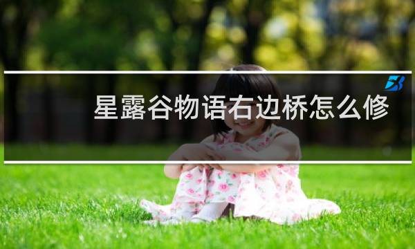 星露谷物语右边桥怎么修