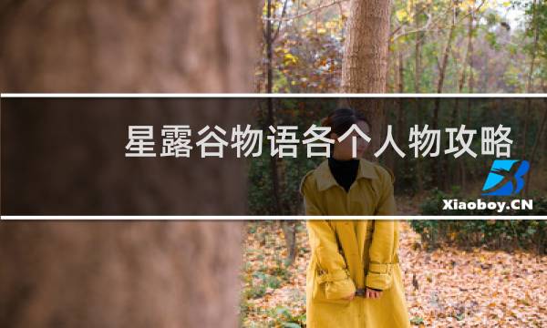 星露谷物语各个人物攻略