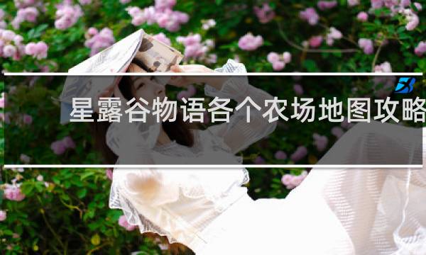 星露谷物语各个农场地图攻略