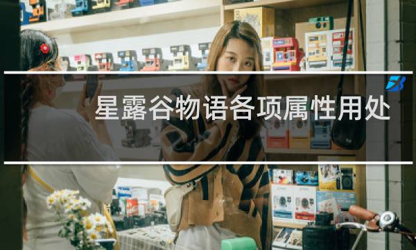 星露谷物语各项属性用处