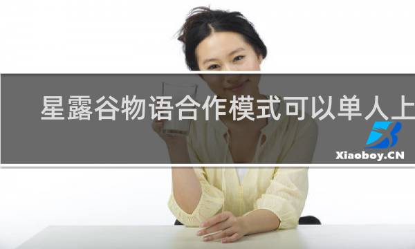 星露谷物语合作模式可以单人上线