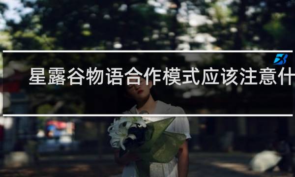 星露谷物语合作模式应该注意什么