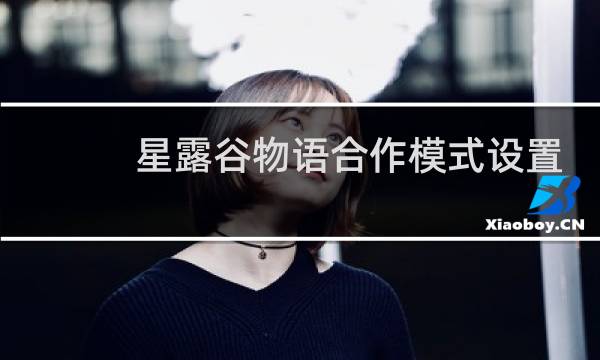 星露谷物语合作模式设置