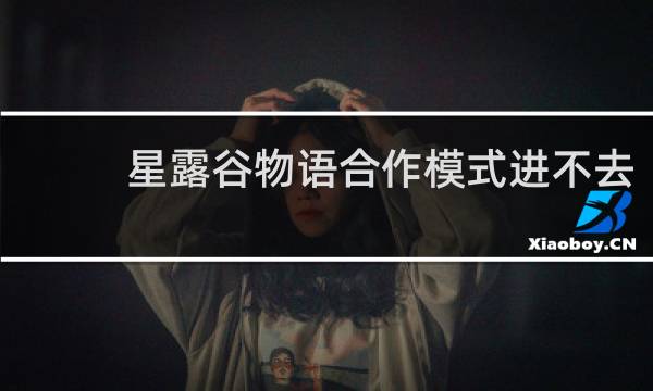 星露谷物语合作模式进不去