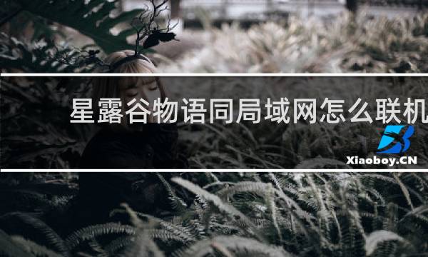 星露谷物语同局域网怎么联机