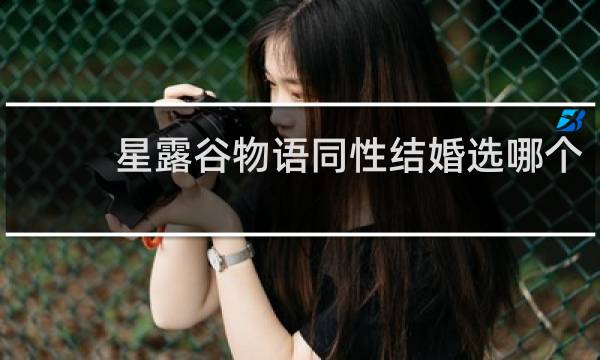 星露谷物语同性结婚选哪个