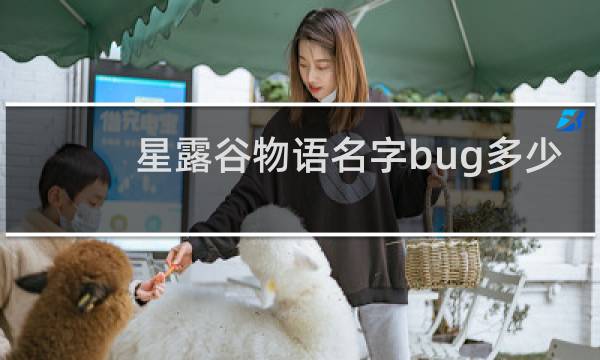 星露谷物语名字bug多少