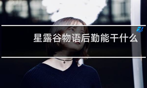 星露谷物语后勤能干什么