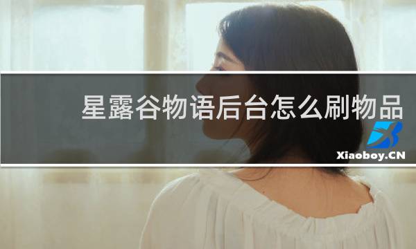 星露谷物语后台怎么刷物品