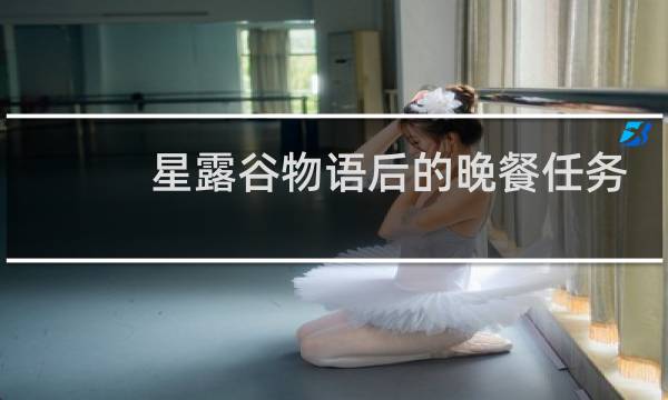 星露谷物语后的晚餐任务