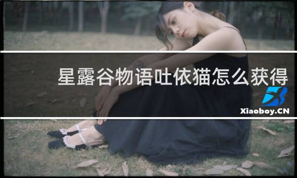星露谷物语吐依猫怎么获得