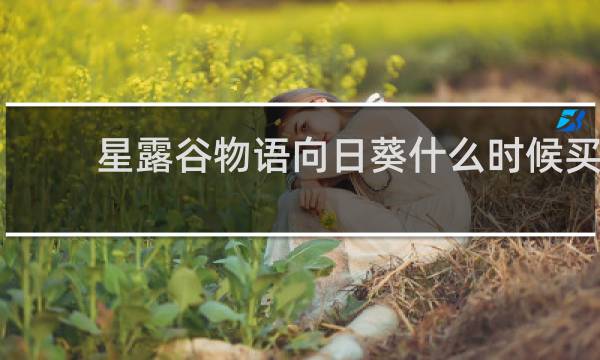 星露谷物语向日葵什么时候买