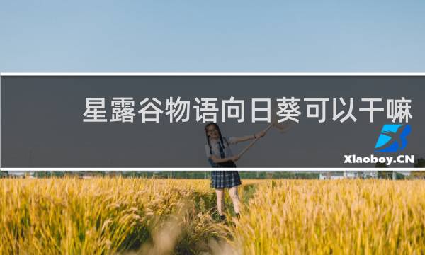 星露谷物语向日葵可以干嘛