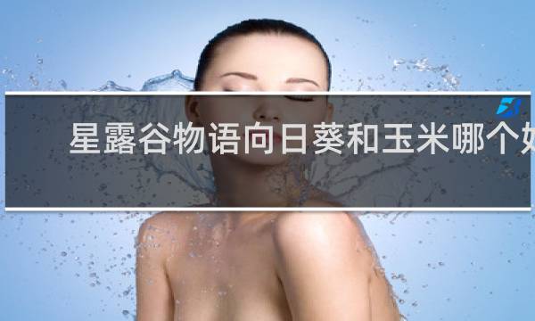 星露谷物语向日葵和玉米哪个好