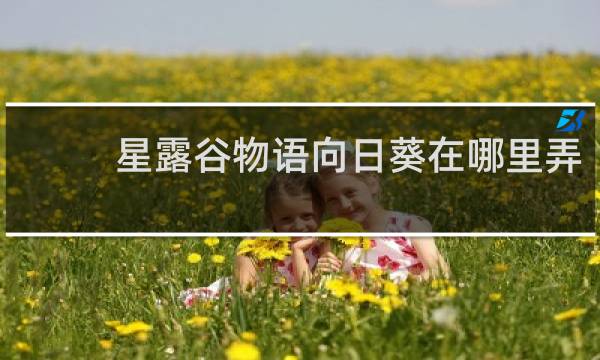 星露谷物语向日葵在哪里弄