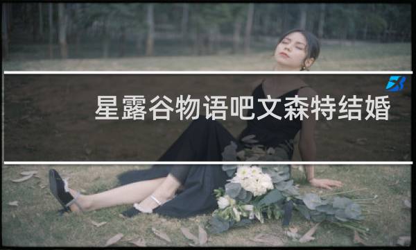 星露谷物语吧文森特结婚