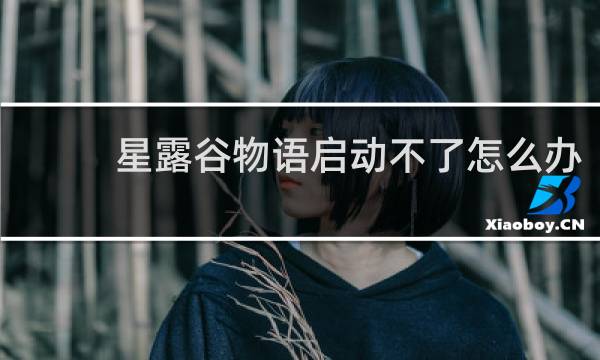 星露谷物语启动不了怎么办