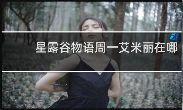 星露谷物语周一艾米丽在哪